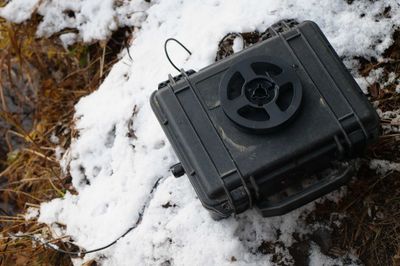 Art Project Captures Sights and Sounds of Climate Change in a Finnish Forest