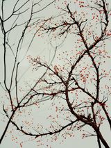 The Other Day M III by Sonja Braas contemporary artwork photography