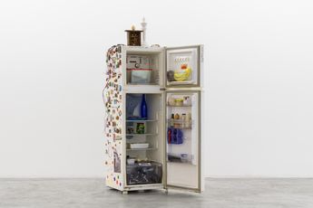 Contemporary art exhibition Paulo Bruscky banco de ideias at Galeria Nara Roesler Sao Paulo Brazil