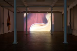 Edith Dekyndt