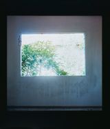 Windows by Simryn Gill contemporary artwork photography
