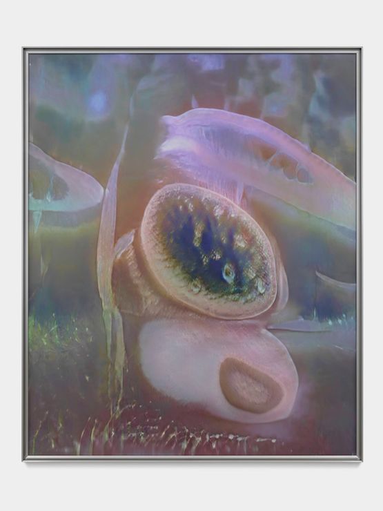 MRnJR by Anicka Yi contemporary artwork Painting