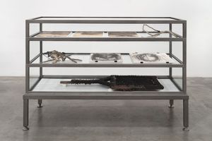 Matthew Barney