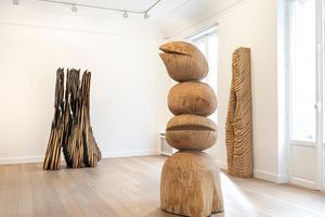 David Nash
