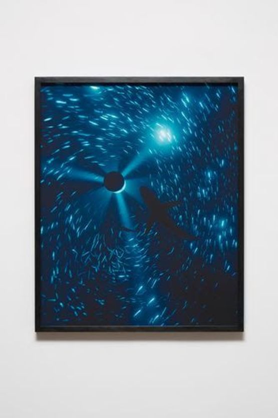 Midnight Zone - 166 Fathoms by Julian Charriere contemporary artwork Print