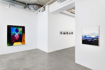 Contemporary art exhibition Peter Miller Fuck it Photography at SETAREH SETAREH Dusseldorf Germany