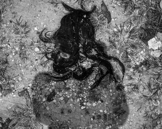 Lost Wig by Anastasia Samoylova contemporary artwork Print