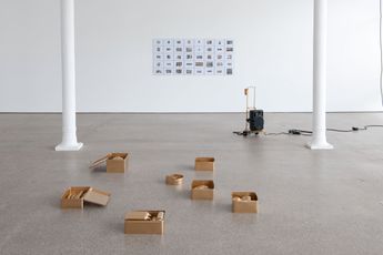 Contemporary art exhibition Liliana Moro Reacton 3 at Galerie Greta Meert Brussels Belgium