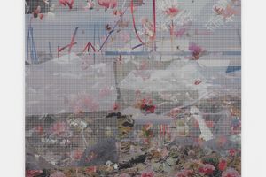 Petra Cortright