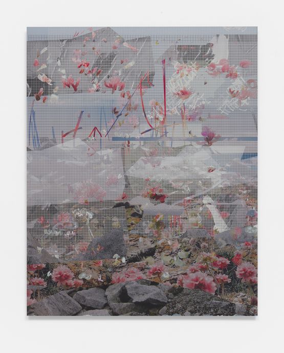 BNX bot 1.02_brazil  population  statistic_boredwife.comsosc by Petra Cortright contemporary artwork Painting