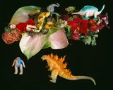 qARADISE by Nobuyoshi Araki contemporary artwork photography