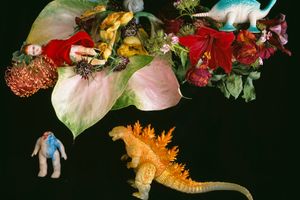 Nobuyoshi Araki