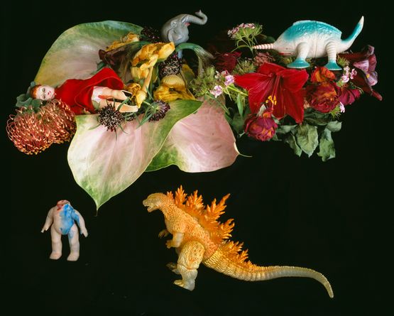 qARADISE by Nobuyoshi Araki contemporary artwork Photography