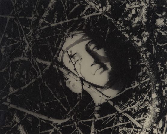 Untitled Head Among Twigs 2 by Lionel Wendt contemporary artwork Print