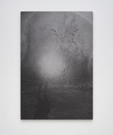 Dear deer   As soon as by Dirk Braeckman contemporary artwork print