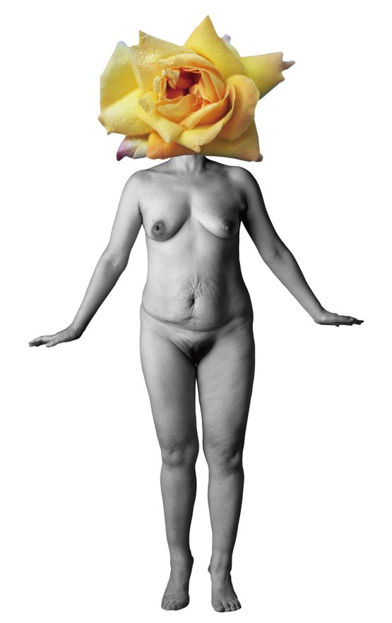 Body and Sexuality 3 by Young Sook Park contemporary artwork Photography