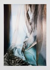 Untitled 3508 by Elisa Sighicelli contemporary artwork photography
