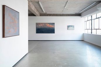 Contemporary art exhibition Ruby Wilkinson Birding at Jhana Millers Wellington New Zealand