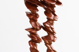Tony Cragg