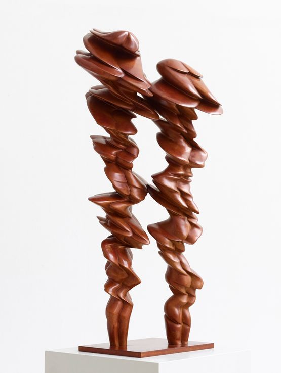 Pair by Tony Cragg contemporary artwork Sculpture