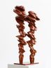 Pair by Tony Cragg contemporary artwork Sculpture