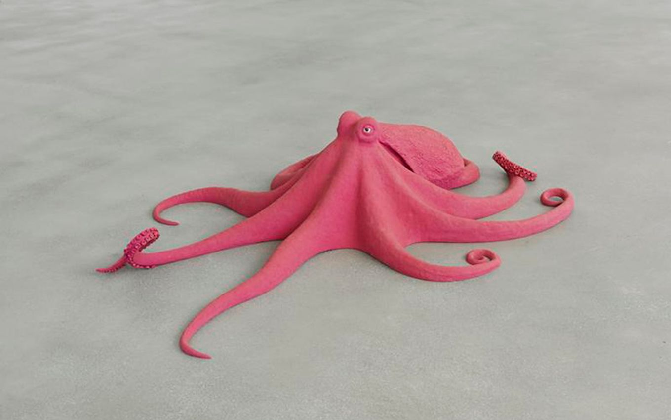 Carsten Höller