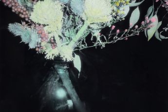 Sam Evans contemporary artist