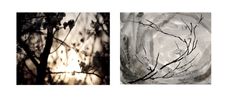 2nd Climate Insects Awakening by Chu Chu contemporary artwork Works on Paper