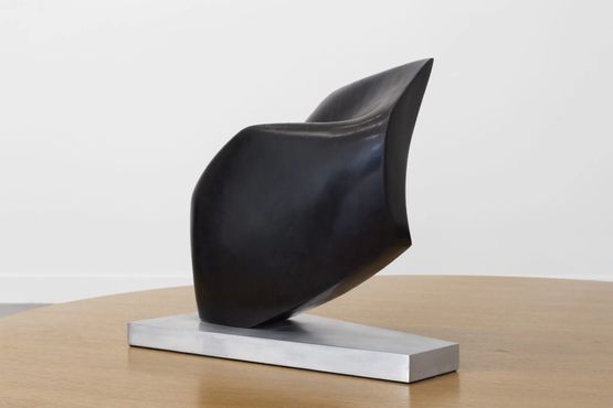 SeaBird by Tanya Ashken contemporary artwork Sculpture