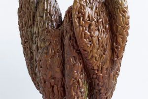 Tony Cragg