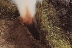 Ana Mendieta Carolee Schneemann