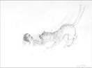 Tiger Biting Forearm by Kiki Smith contemporary artwork Drawing
