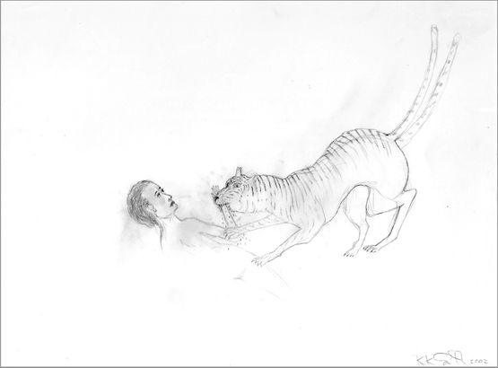 Tiger Biting Forearm by Kiki Smith contemporary artwork Drawing