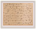 Flies by Ed Ruscha contemporary artwork Print