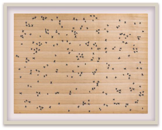 Flies by Ed Ruscha contemporary artwork Print
