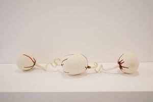Jason Lim