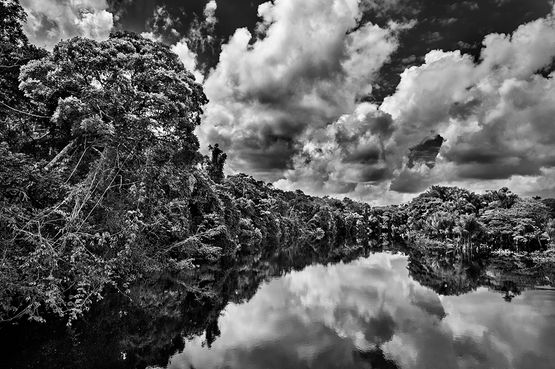 View of an igapo Jau River Jau National Park state of Amazonas Brazil by Sebastiao Salgado contemporary artwork Photography