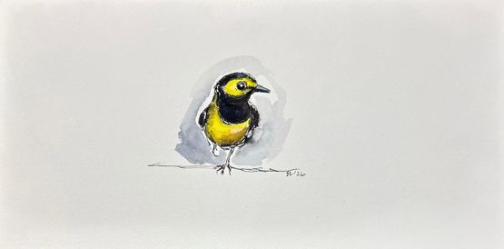 Hooded Warbler by Summer Mei-Ling Lee contemporary artwork Works on Paper