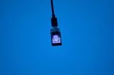 Decimate Selfie by Kahee Jeong contemporary artwork moving image