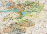 Key to Jillamatong regenesis by John Wolseley contemporary artwork drawing painting works on paper