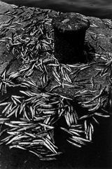 Tottori Sakaiminato by Koji Onaka contemporary artwork photography
