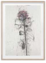 Rose 52 by Sabine Moritz contemporary artwork painting works on paper drawing