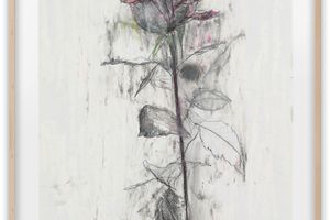 Sabine Moritz