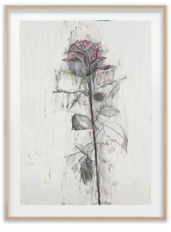 Rose 52 by Sabine Moritz contemporary artwork Painting