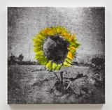 Untitled by Ziad Antar contemporary artwork painting photography