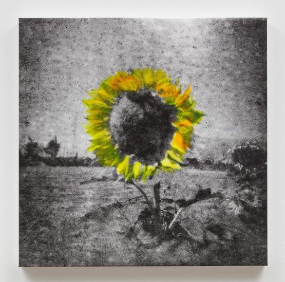 Untitled by Ziad Antar contemporary artwork Painting