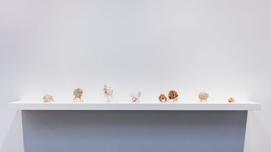crustatesta  littoral shellworks by Rosemary Laing contemporary artwork Sculpture