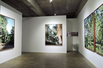 Contemporary art exhibition Naruki Oshima TableauBibemus with Cezanne at Yumiko Chiba Associates Tokyo Japan
