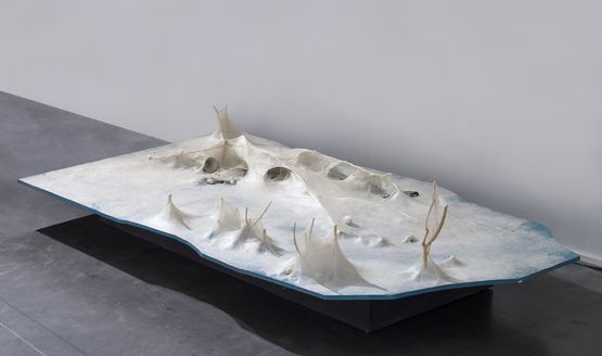 Snow in the Woods by Liang Shaoji contemporary artwork Sculpture