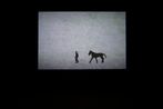 Brain Storm  by Jennifer Wen Ma contemporary artwork Moving Image